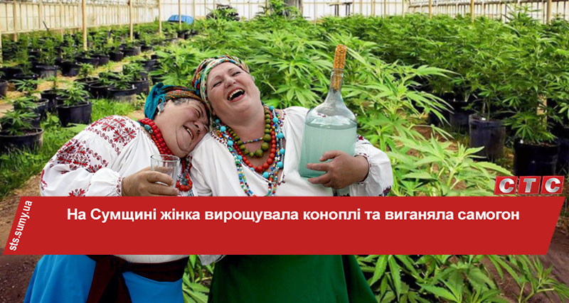 Можно ли самогон на конопле кто выращивает коноплю в украине